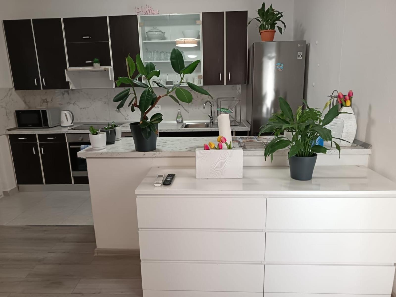 Apartman Marica 特罗吉尔 外观 照片