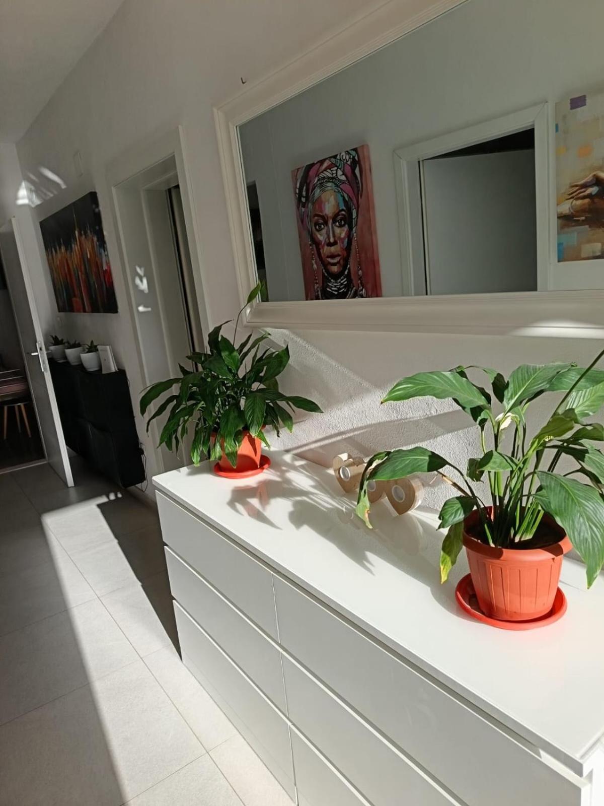 Apartman Marica 特罗吉尔 外观 照片